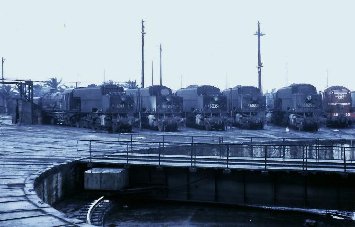 Garratt Locos at
Broadmeadow depot